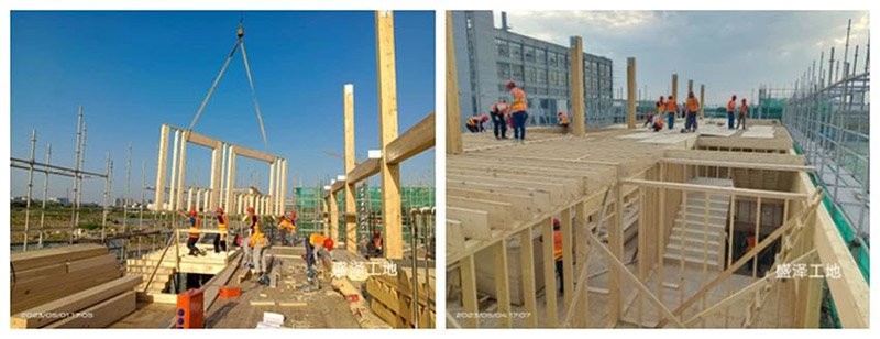 1743989574362919.jpg 6.jpg